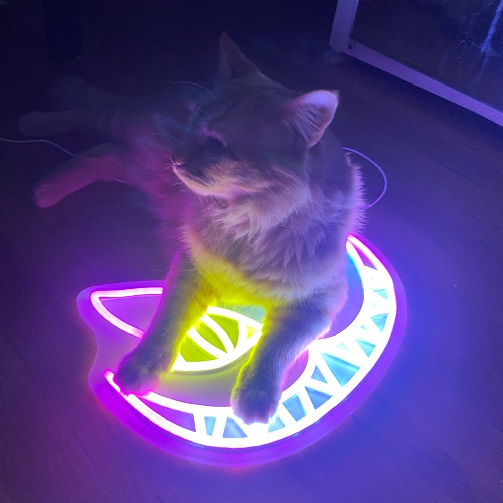 Neon -LED Cat Accent Light - Picture 4 of 4